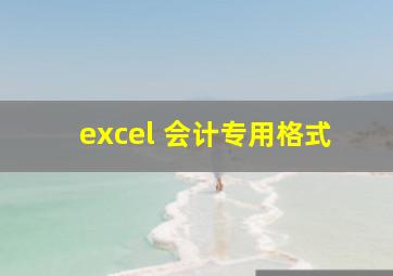 excel 会计专用格式